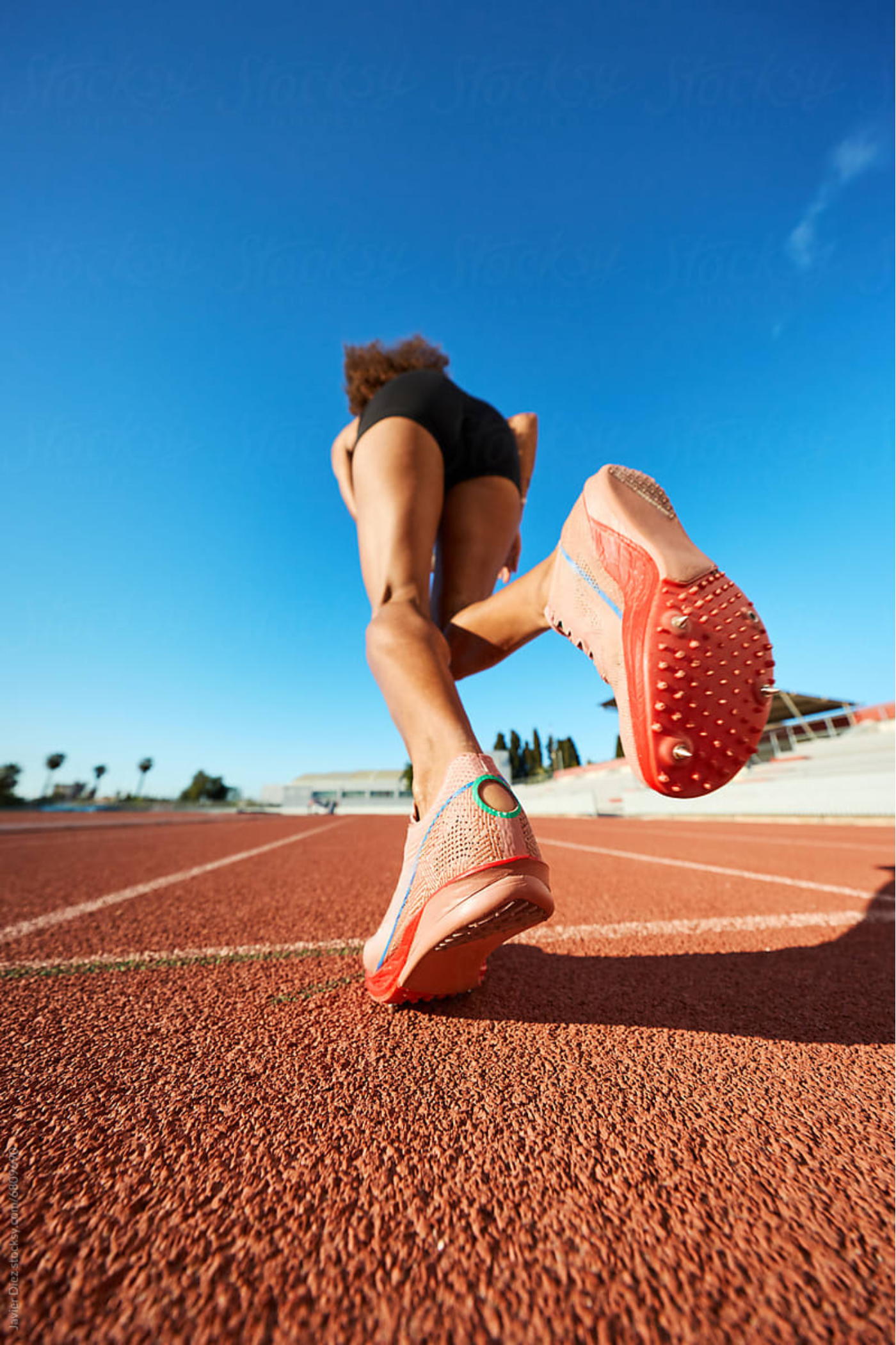 The Glass Slipper of Gear: The Sports Bra
